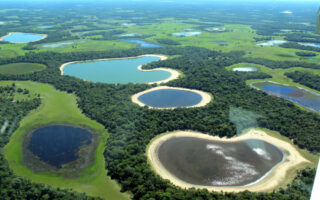 viagem para o Pantanal Travejante