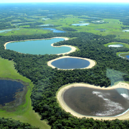 viagem para o Pantanal Travejante