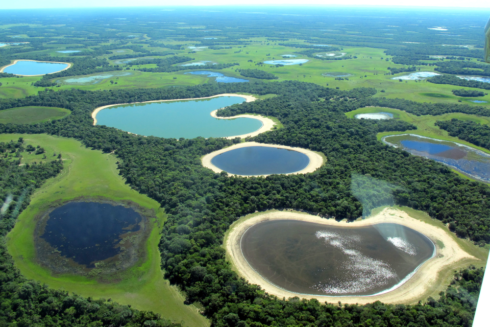 viagem para o Pantanal Travejante