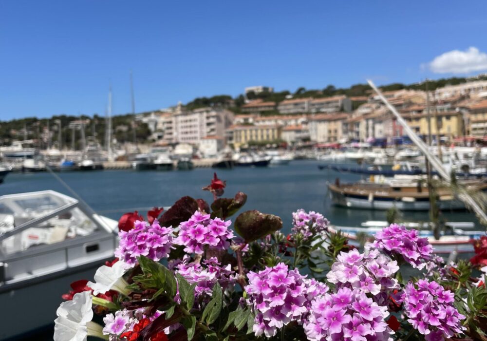 que faire à Cassis