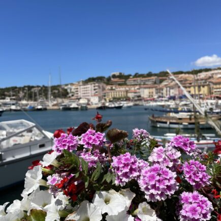 que faire à Cassis