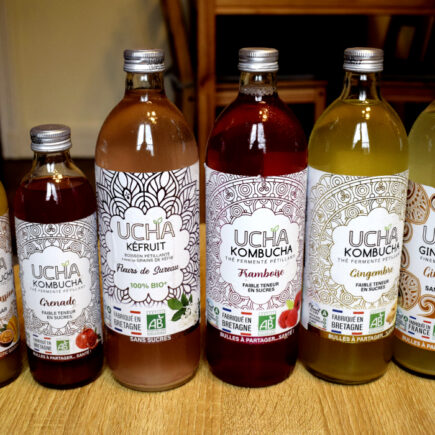 Ucha Bio Kombucha