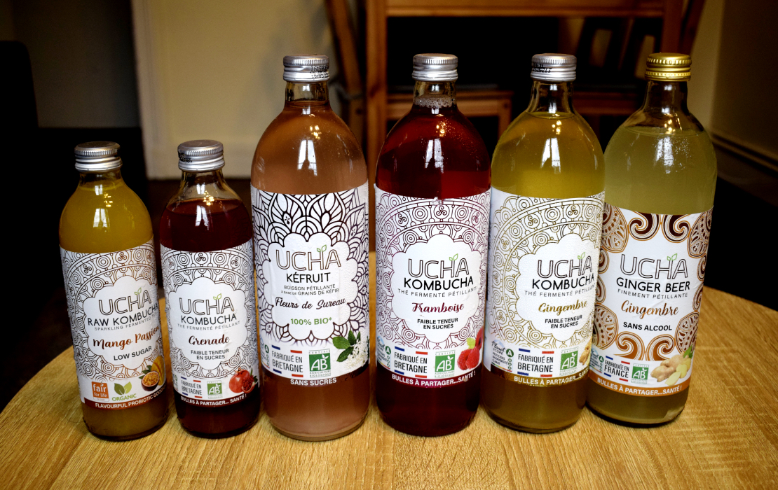 Ucha Bio Kombucha